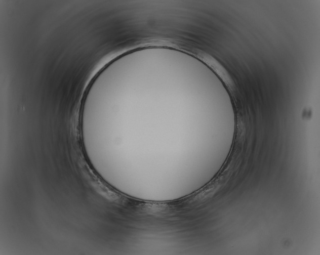X0000089421052200707131818