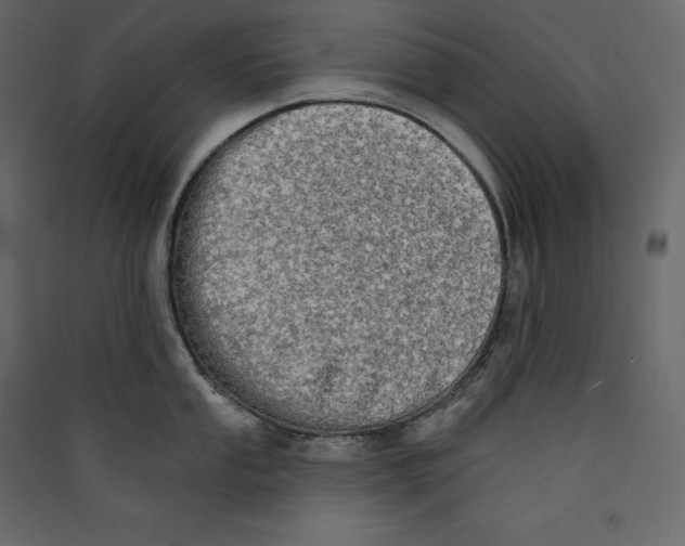 X0000089421053200707131818