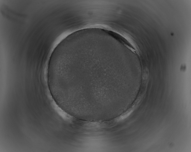 X0000089421054200707131818