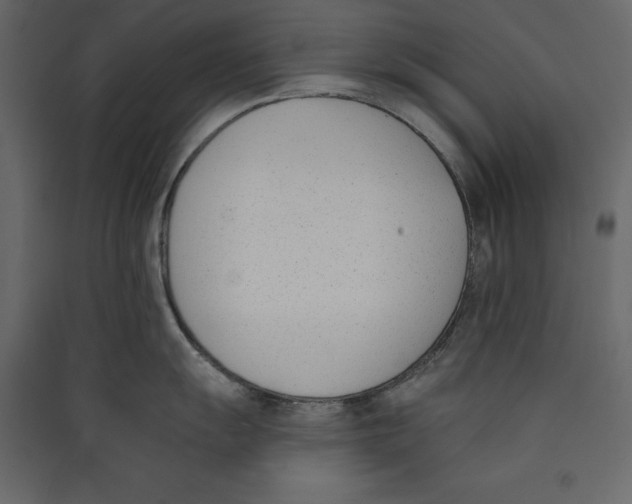 X0000089421055200707131818
