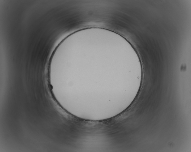 X0000089421056200707131818