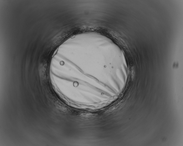 X0000089421059200707131817