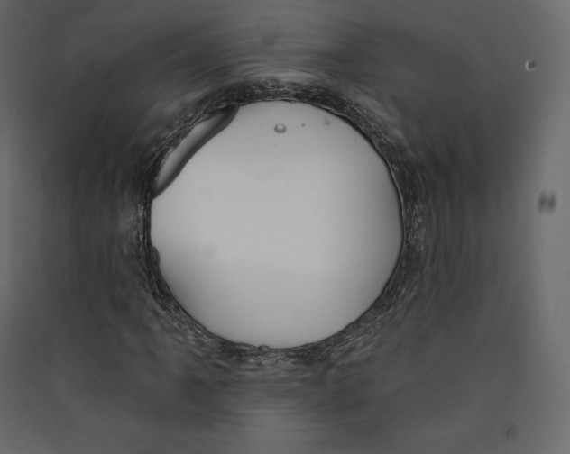 X0000089421061200707131817