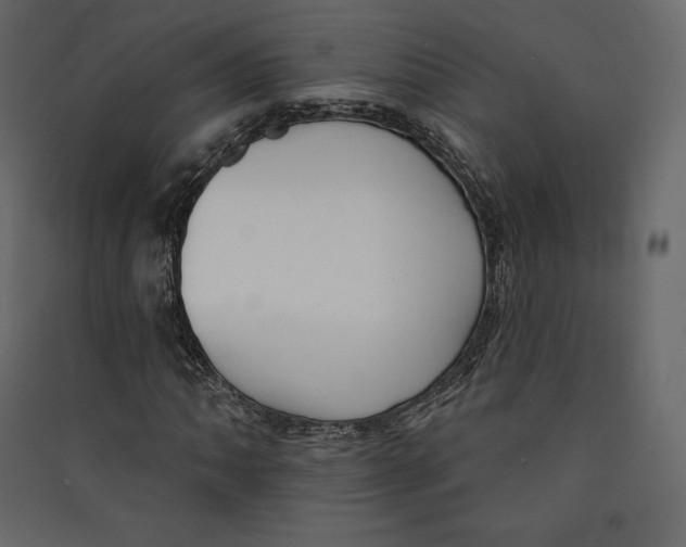 X0000089421062200707131817
