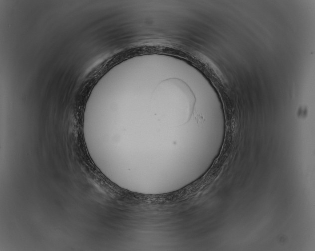 X0000089421064200707131817