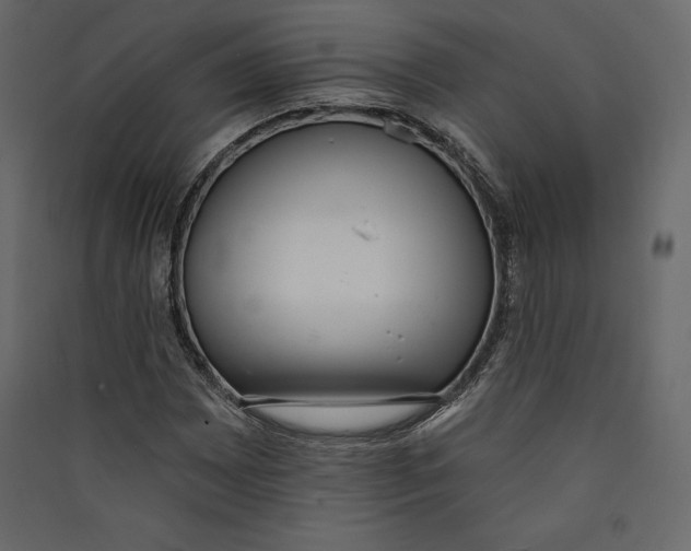 X0000089421065200707131817