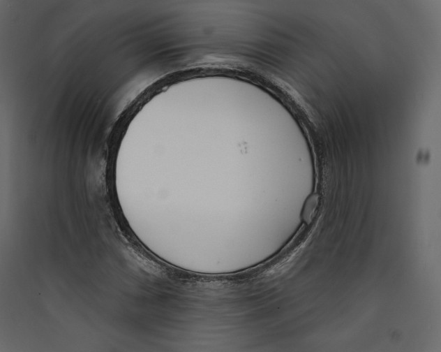 X0000089421066200707131817
