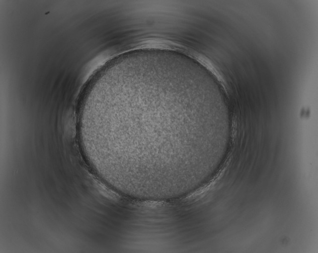 X0000089421067200707131817
