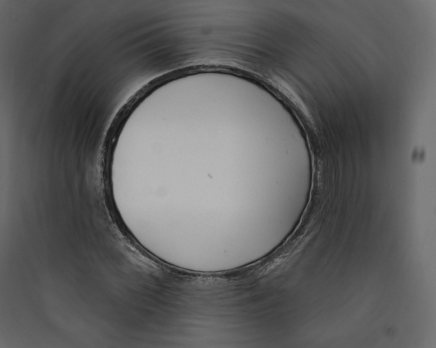 X0000089421068200707131817
