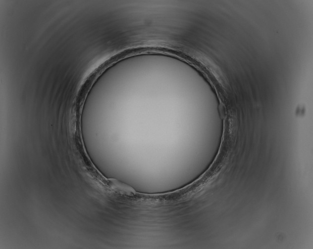 X0000089421069200707131817