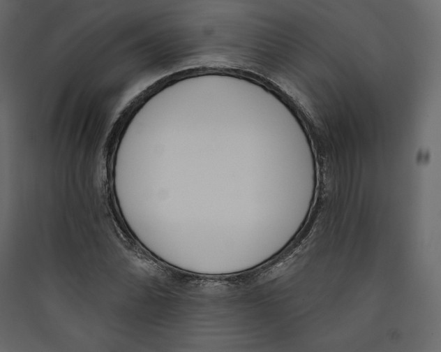 X0000089421070200707131817