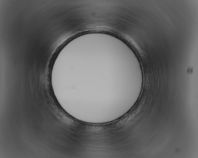 X0000089421071200707131817