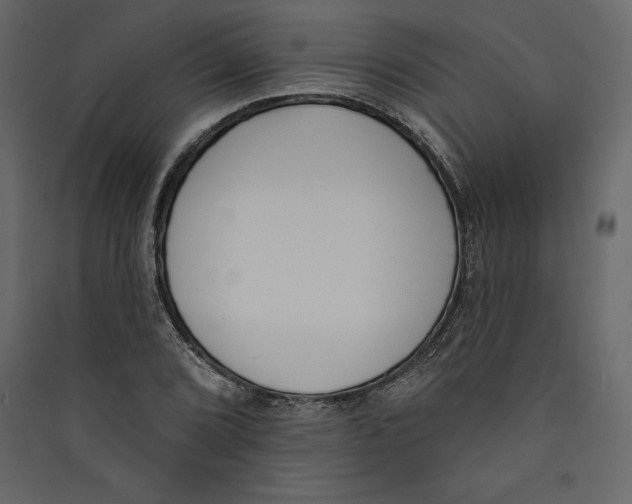 X0000089421072200707131817