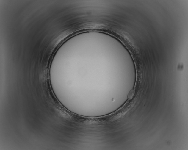 X0000089421073200707131817