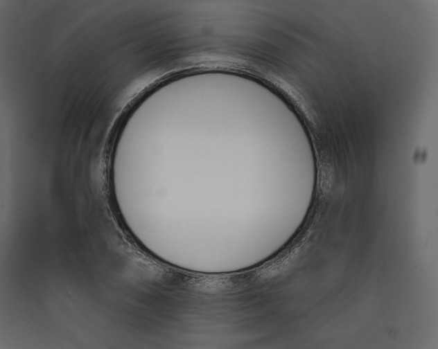 X0000089421074200707131817