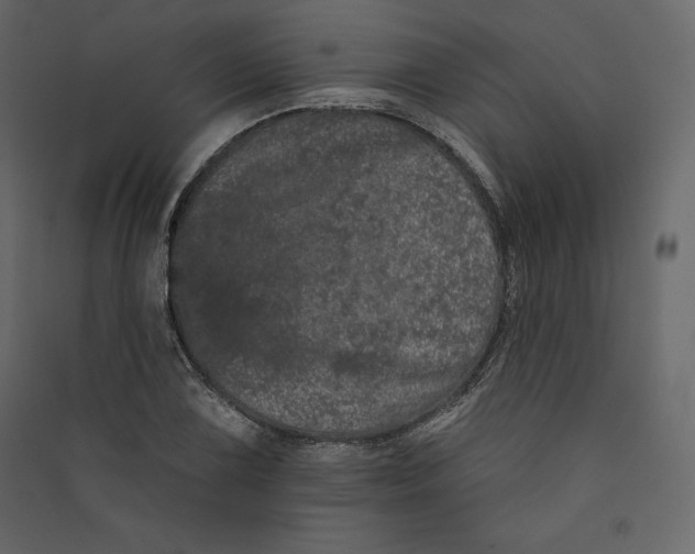 X0000089421075200707131817