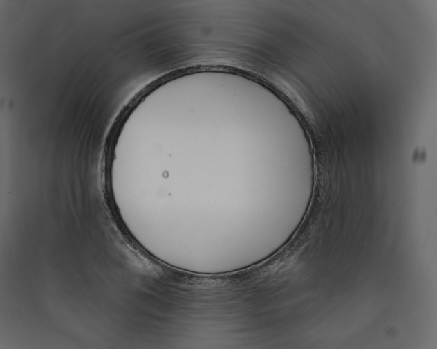 X0000089421076200707131817