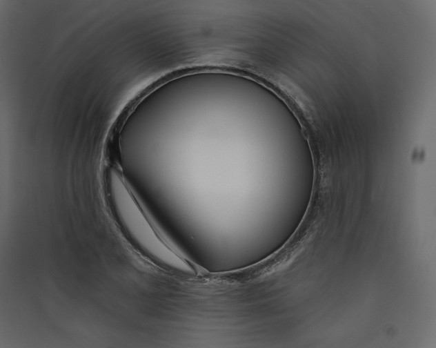 X0000089421077200707131817