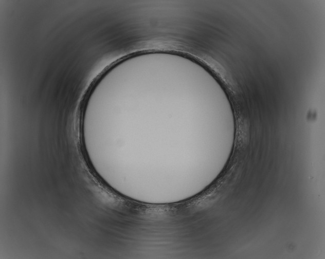 X0000089421078200707131817