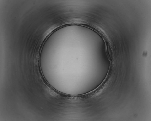 X0000089421081200707131817