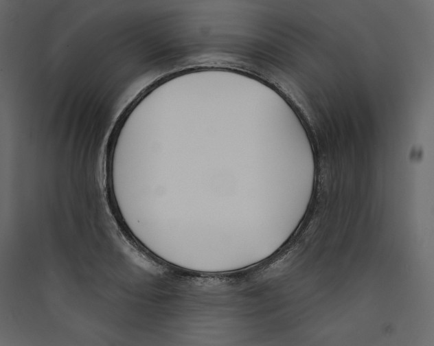 X0000089421082200707131817