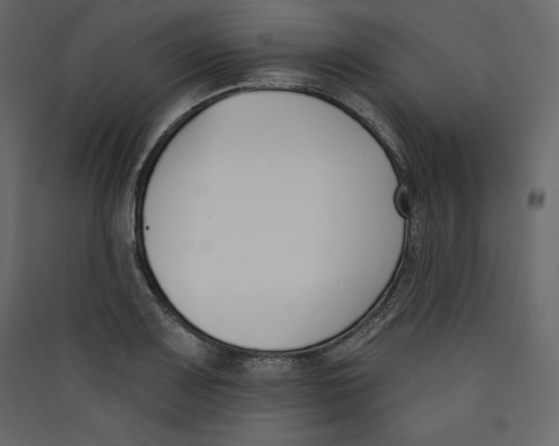 X0000089421083200707131817