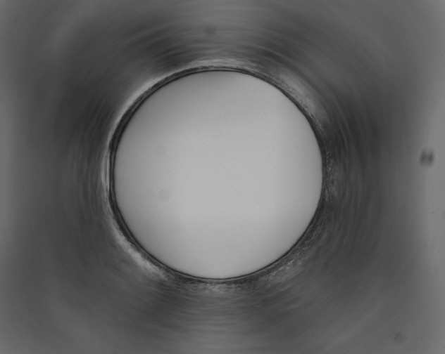 X0000089421084200707131817