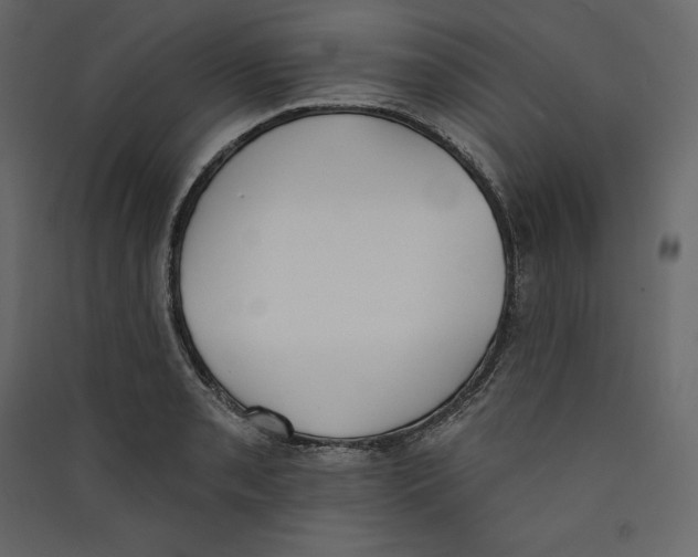 X0000089421085200707131817