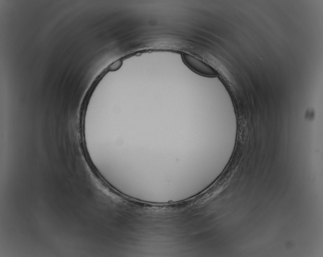 X0000089421087200707131817