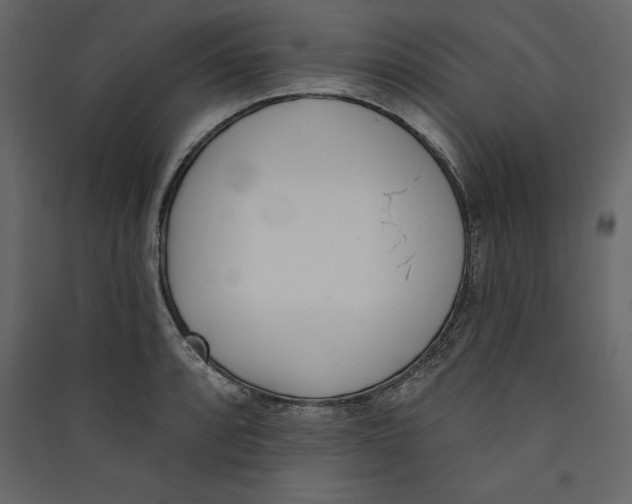 X0000089421088200707131817