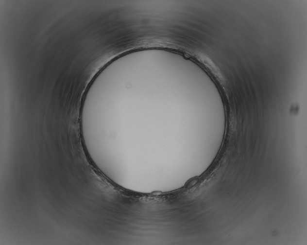 X0000089421089200707131817