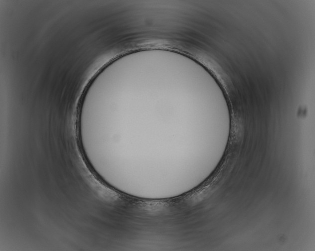 X0000089421090200707131817
