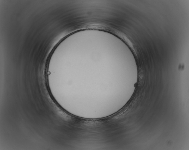 X0000089421091200707131817