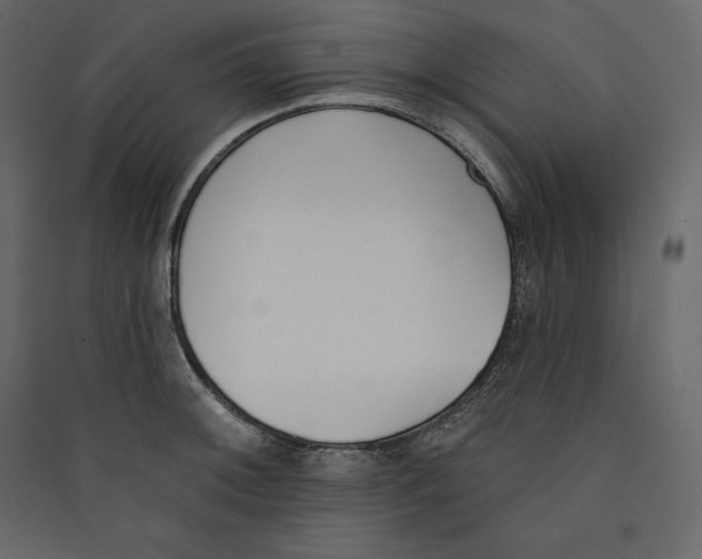 X0000089421092200707131817