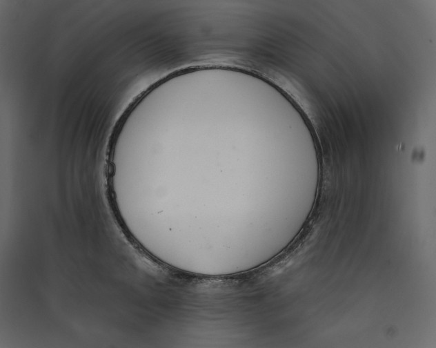 X0000089421093200707131817