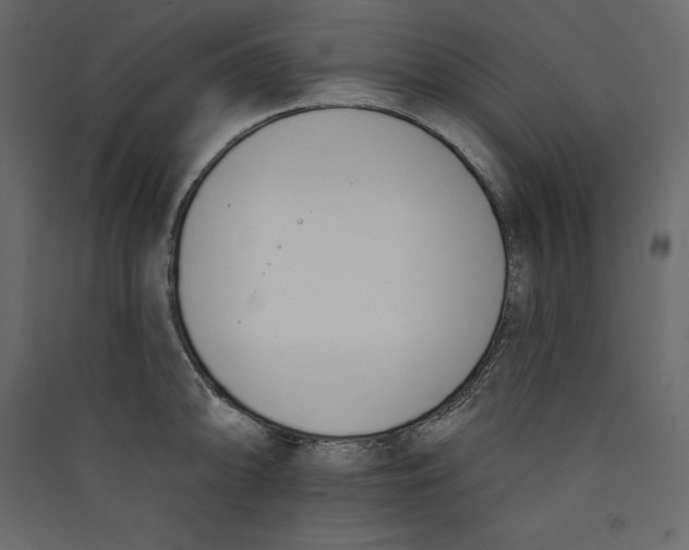 X0000089421094200707131817