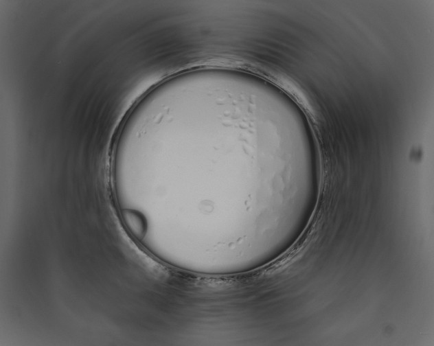 X0000089421095200707131817