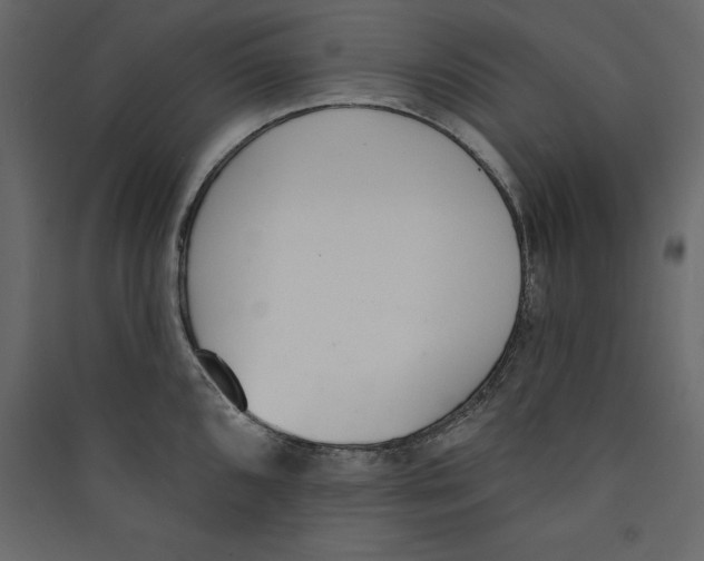 X0000089421096200707131817