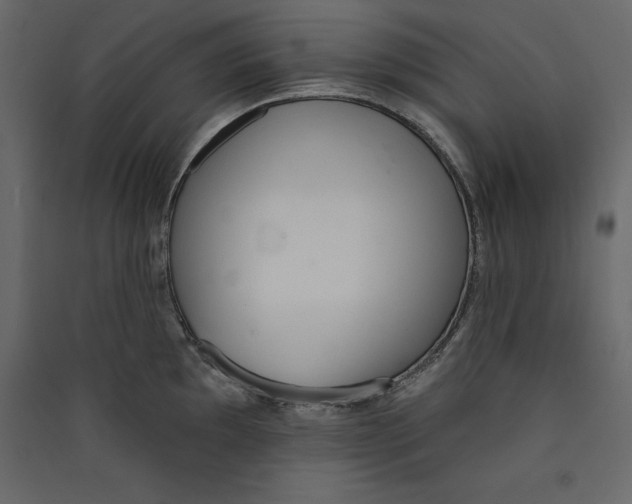 X0000089421097200707131817