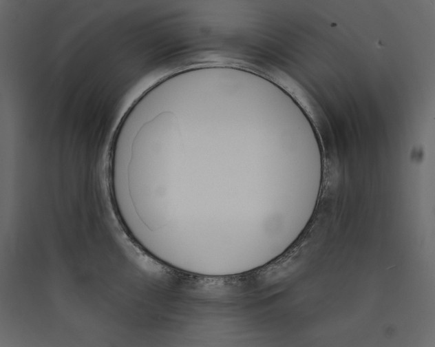 X0000089421098200707131817