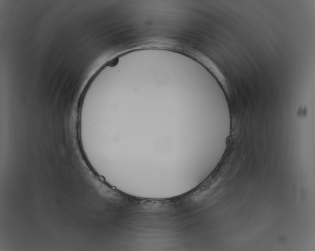 X0000089421099200707131817