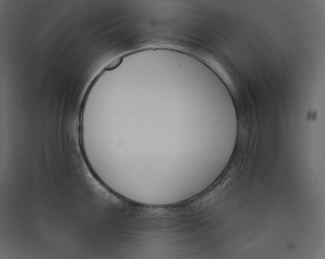 X0000089421100200707131817