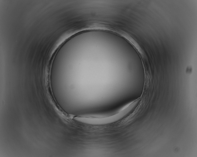 X0000089421101200707131817