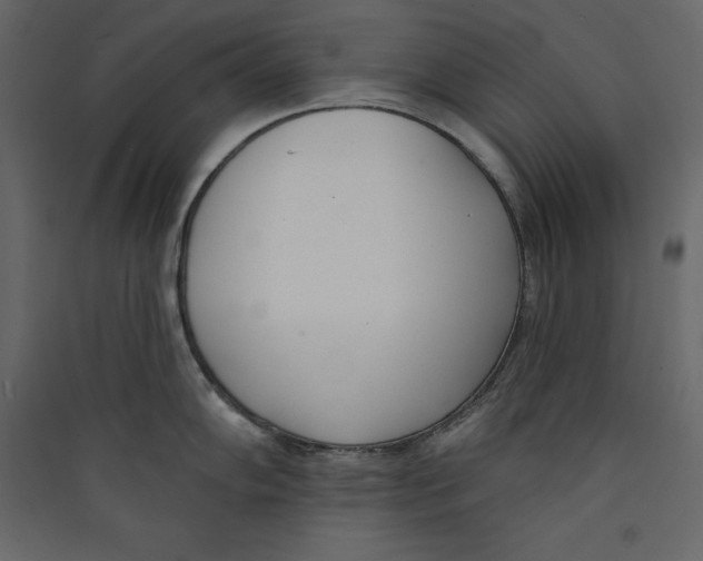 X0000089421102200707131817