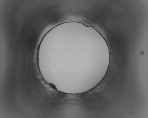 X0000089421104200707131817