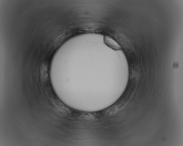 X0000089421106200707131816
