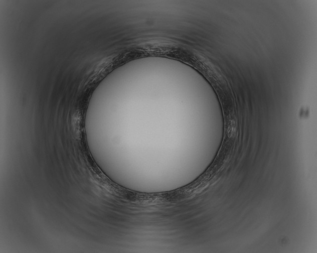 X0000089421108200707131816