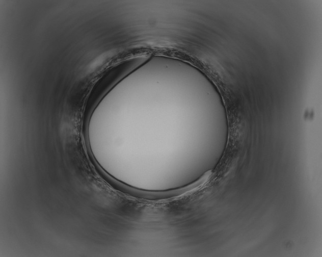 X0000089421110200707131816