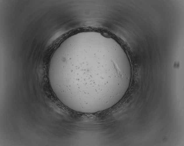 X0000089421112200707131816