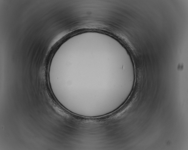 X0000089421114200707131816